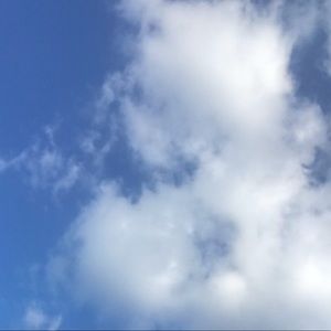 Meet your Posher, Joy